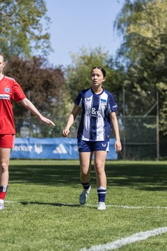Bild 61 - wBJ Hamburger SV - Hertha BSC : Ergebnis: 5:2